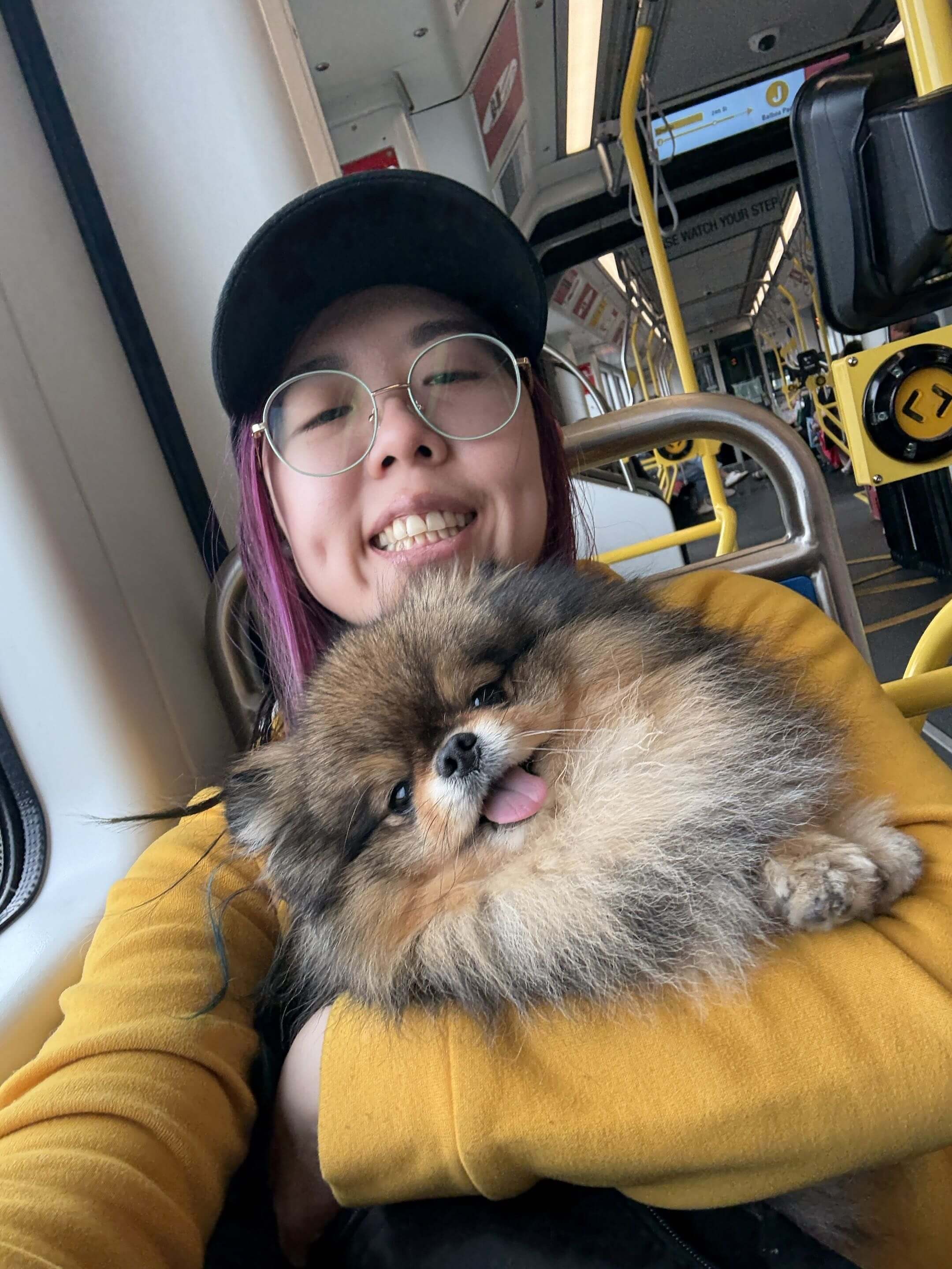 Happy dog being walked in San Francisco